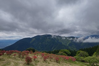 DSC_1473