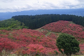 DSC_1474