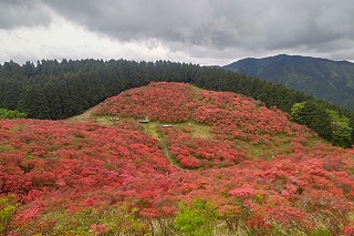 DSC_1476