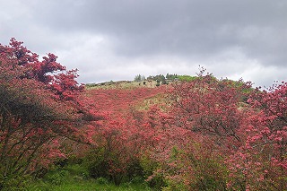 DSC_1489