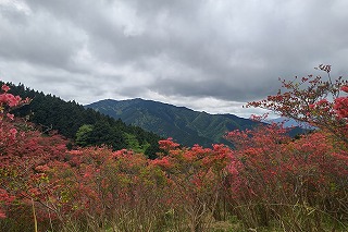 DSC_1493