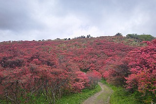 DSC_1492