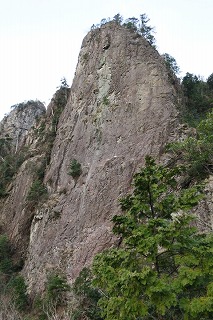 IMG_0562