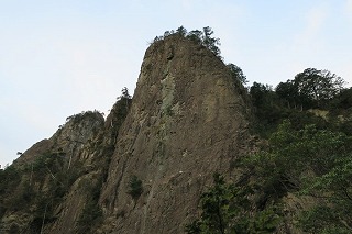 IMG_0564